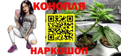 гашик Азнакаево