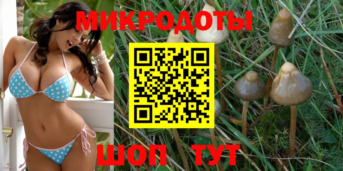 Галлюциногенные грибы мицелий  Вход с VPN  Азнакаево 