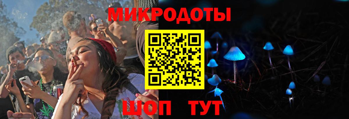 Псилоцибиновые грибы Psilocybe Азнакаево